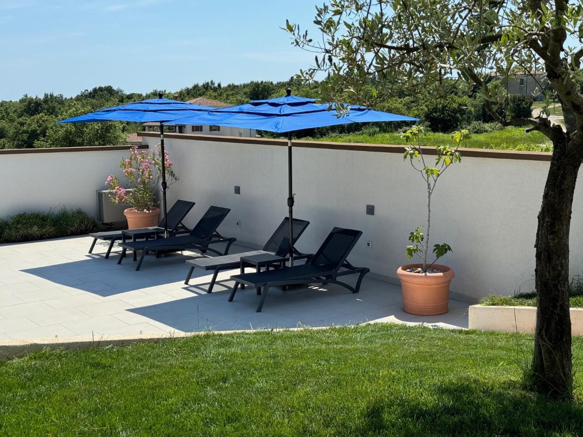 Villa Victoria Istra - Heated Pool Nova Vas  المظهر الخارجي الصورة